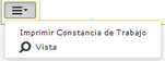 BOTON IMPRIMIR CONSTANCIA