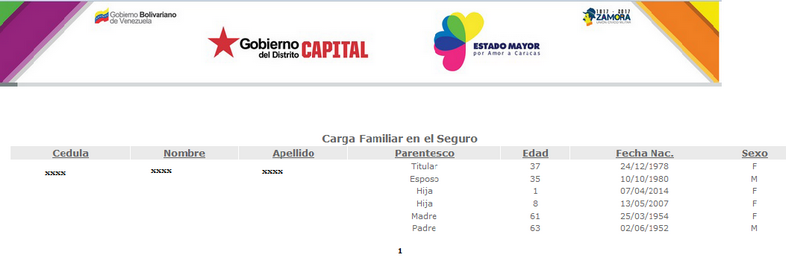 carga familiar en el seguro